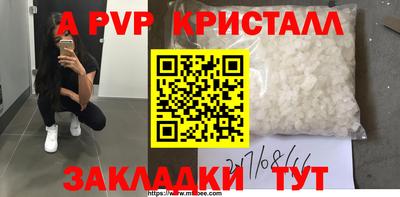 стаф Кунгур