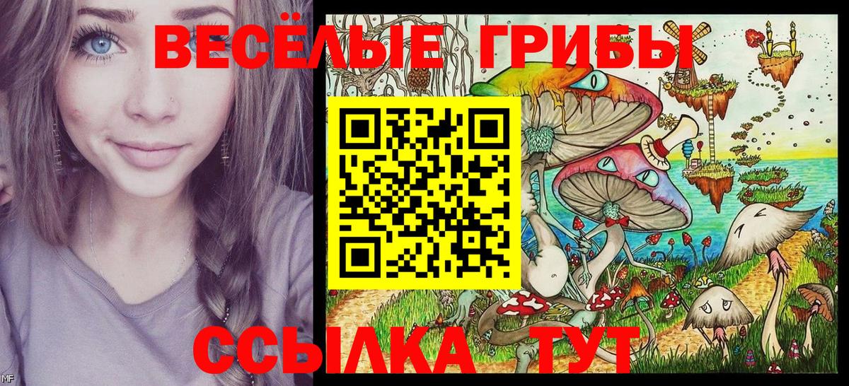 наркотики  Галлюциногенные грибы Psilocybine cubensis  Вход с VPN  Джанкой 